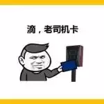 老司机都说好,这4个值得一看
