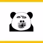 放假前的惊艳推荐！