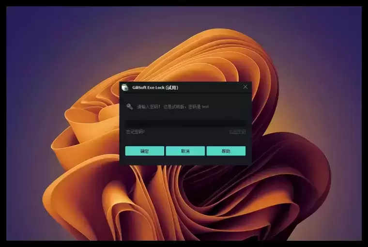 [WIN]GiliSoft Exe Lock 程序软件加密工具软件 10.8.0 中文破解版
