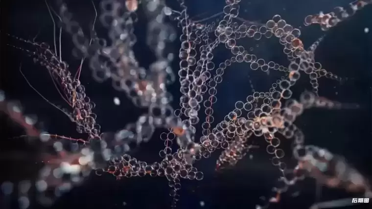 [WIN]Redshift3D Redshift Renderer (RS渲染器MAYA/3D插件) V.3.0.45 x64插图2