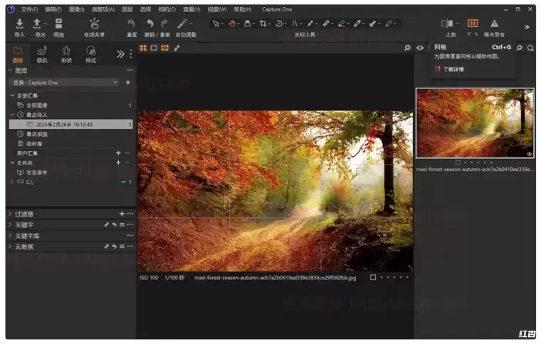 [WIN]Capture One 23 Pro / Enterprise(RAW转换与照片后期软件) 16.2.3.1463 中文特别版插图3