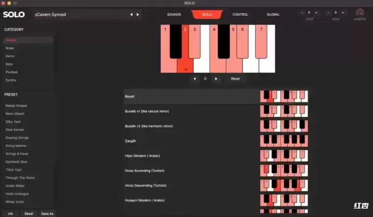 [WIN]TAQS.IM Solo(虚拟乐器合成器) 2.0.0特别版插图1