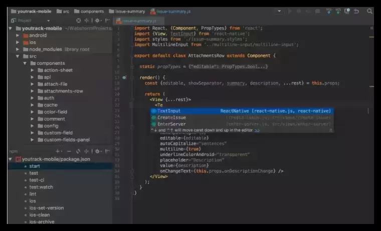 [WIN]JetBrains WebStorm (JavaScript 开发工具) 2023.1.3 x64插图1