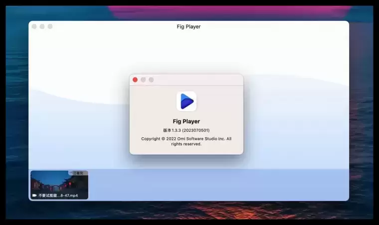 [MAC]Fig Player for Mac(多媒体播放器) v1.3.3激活版插图1