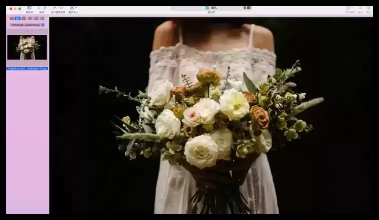 [MAC]EdgeView 4 for Mac(图片查看软件) 4.3.0中文激活版插图3