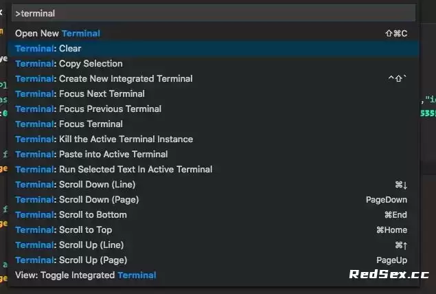 [MAC]Visual Studio Code for Mac(最好用的微软源源代码编辑器) v1.81.1中文免费版插图10