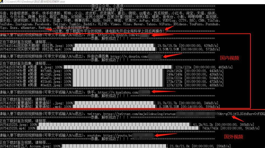 聚合视频解析高清无水印下载视频工具~ 仅支持WIN系统~插图4 聚合视频解析高清无水印下载视频工具~ 仅支持WIN系统~插图4