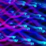 强推!很稀奇的几个网站!