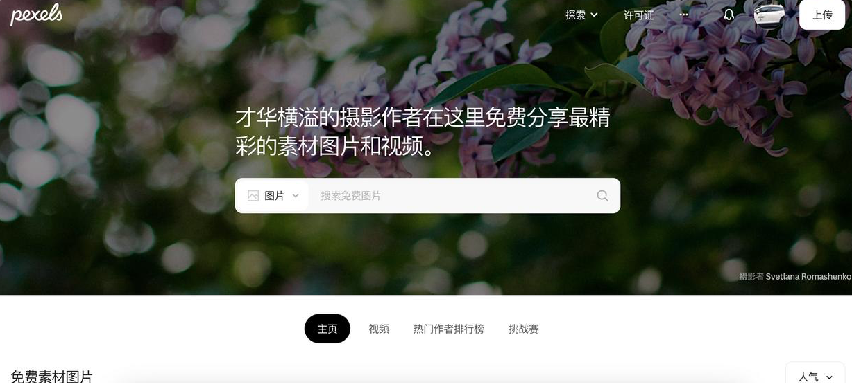我扒光了我的收藏夹:这5个视频素材站,够你用到2026年插图2 我扒光了我的收藏夹:这5个视频素材站,够你用到2026年插图2